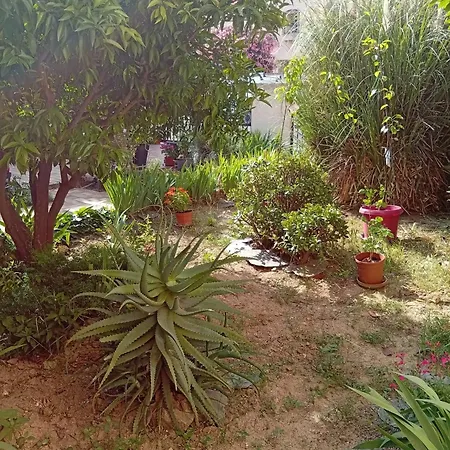 شقة Appartement Perpignan بيربينيو